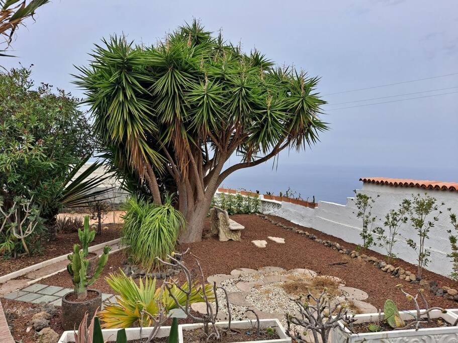 Tenerife Apartment Dulcynea With Terrace And Garden 600M2 With Ocean And Teide View Icod De Los Vinos Exterior photo