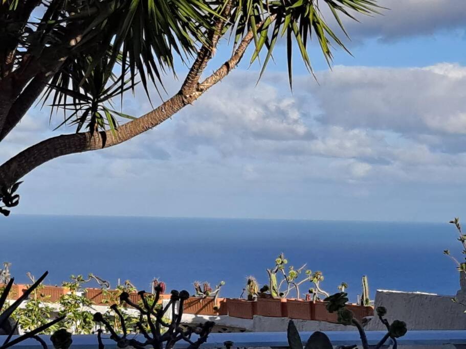 Tenerife Apartment Dulcynea With Terrace And Garden 600M2 With Ocean And Teide View Icod De Los Vinos Exterior photo
